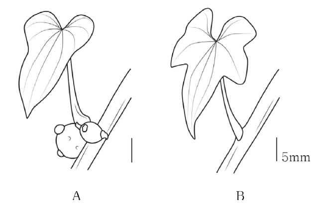 Fig 2.